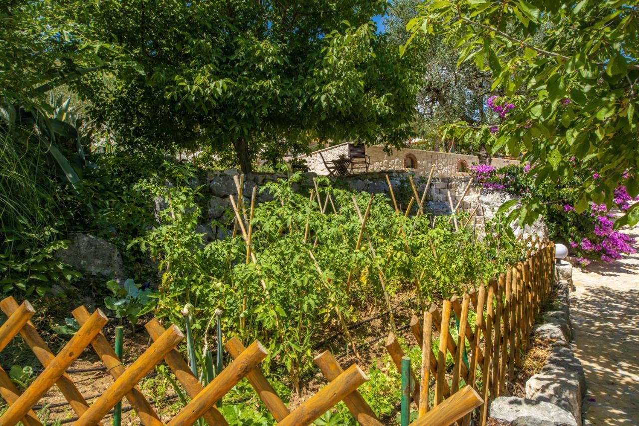 Etno House Wagner Villa Ploce  Dış mekan fotoğraf